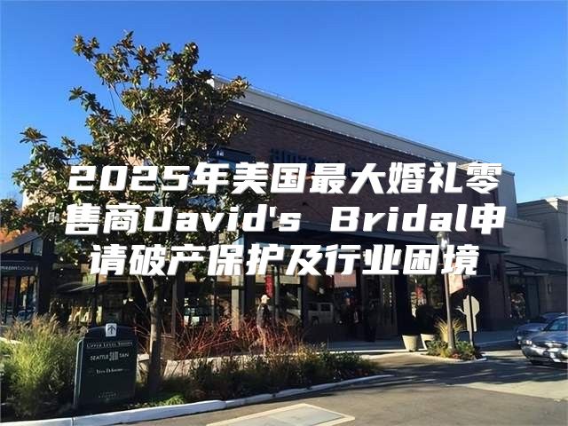 2025年美国最大婚礼零售商David's Bridal申请破产保护及行业困境