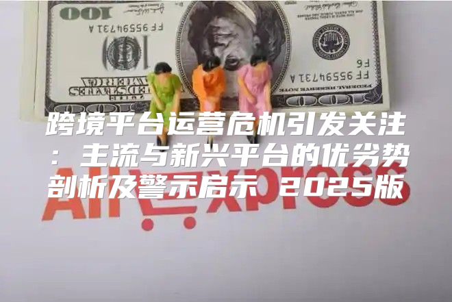 跨境平台运营危机引发关注：主流与新兴平台的优劣势剖析及警示启示 2025版