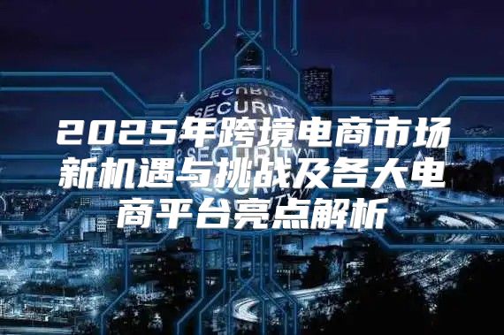 2025年跨境电商市场新机遇与挑战及各大电商平台亮点解析