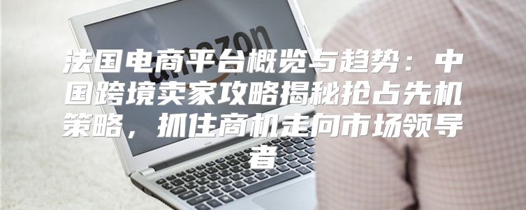 法国电商平台概览与趋势：中国跨境卖家攻略揭秘抢占先机策略，抓住商机走向市场领导者