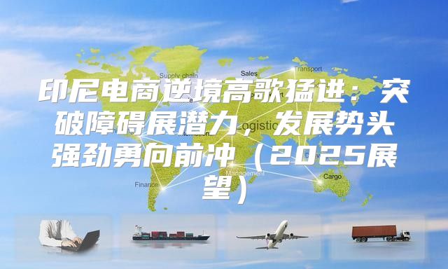 印尼电商逆境高歌猛进：突破障碍展潜力，发展势头强劲勇向前冲2025展望