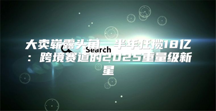 大卖崭露头角，半年狂揽18亿：跨境赛道的2025重量级新星