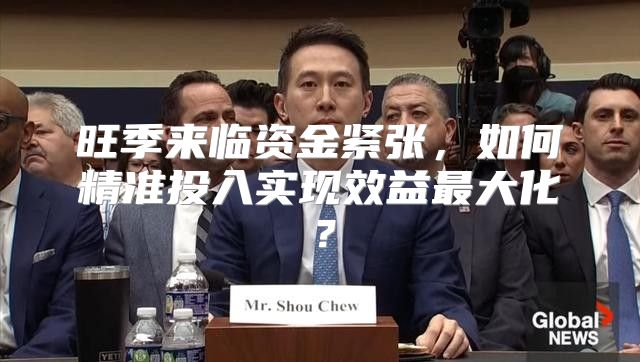 旺季来临资金紧张，如何精准投入实现效益最大化？