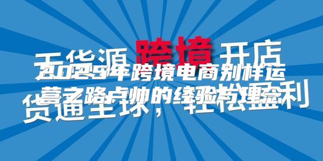2025年跨境电商别样运营之路卢帅的经验与理念
