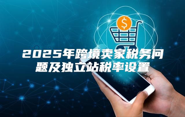 2025年跨境卖家税务问题及独立站税率设置