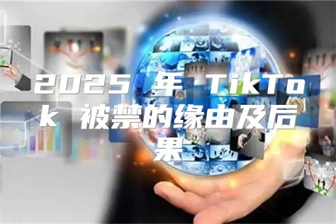 2025 年 TikTok 被禁的缘由及后果