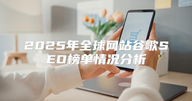 2025年全球网站谷歌SEO榜单情况分析