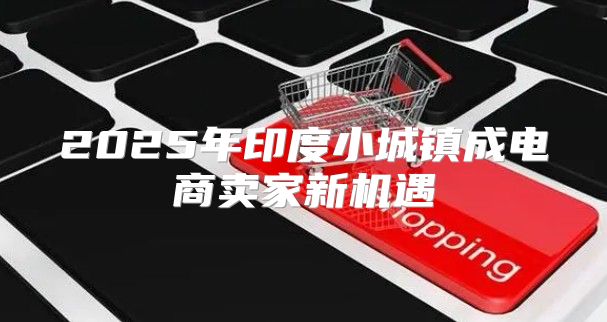 2025年印度小城镇成电商卖家新机遇