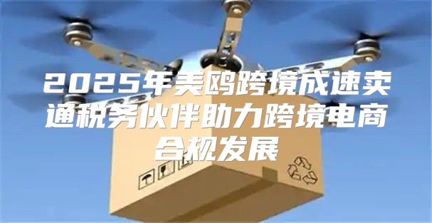 2025年美鸥跨境成速卖通税务伙伴助力跨境电商合规发展