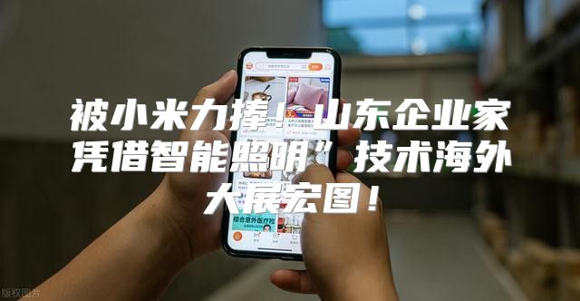 被小米力捧！山东企业家凭借智能照明”技术海外大展宏图！