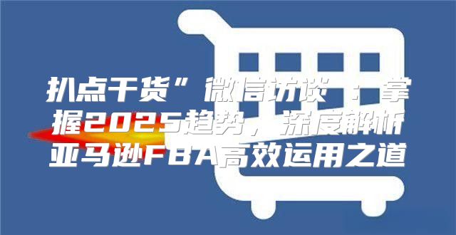 扒点干货”微信访谈⑥：掌握2025趋势，深度解析亚马逊FBA高效运用之道