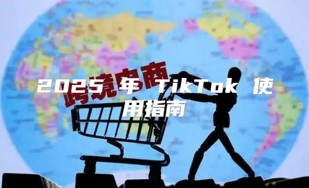 2025 年 TikTok 使用指南