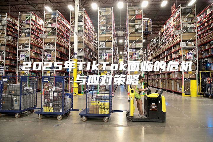 2025年TikTok面临的危机与应对策略