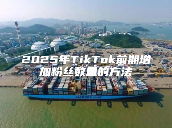 2025年TikTok前期增加粉丝数量的方法