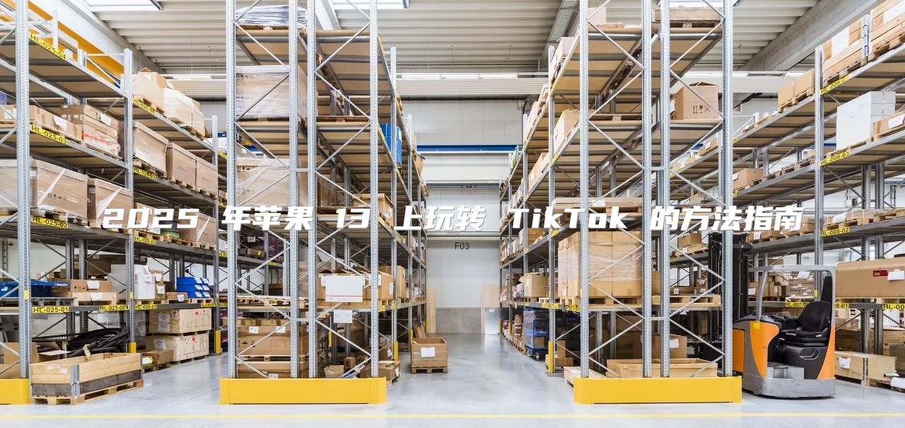 2025 年苹果 13 上玩转 TikTok 的方法指南
