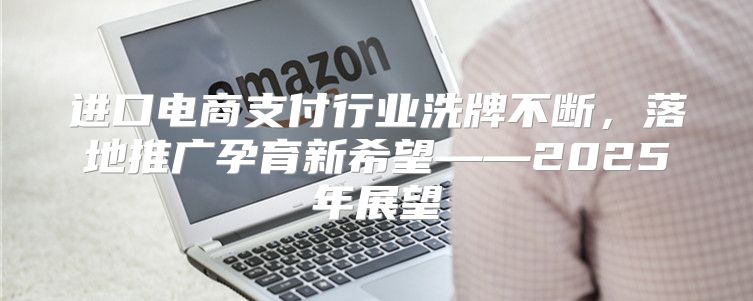 进口电商支付行业洗牌不断，落地推广孕育新希望——2025年展望