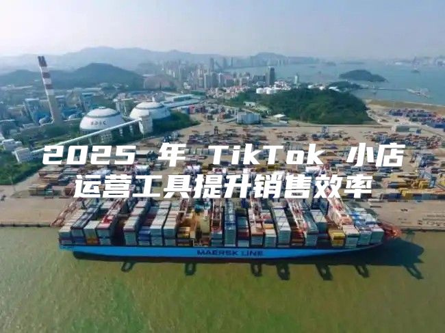 2025 年 TikTok 小店运营工具提升销售效率