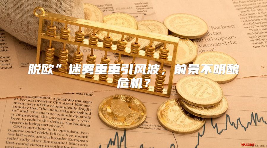 脱欧”迷雾重重引风波，前景不明酿危机？