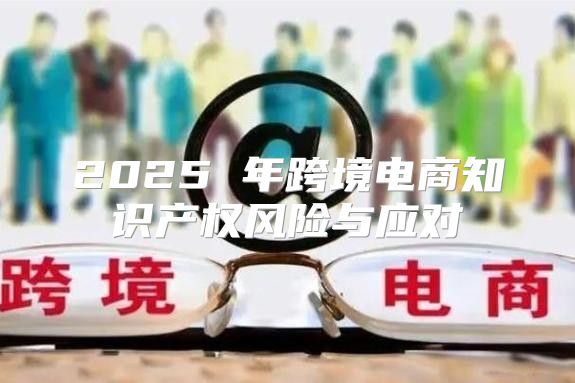 2025 年跨境电商知识产权风险与应对