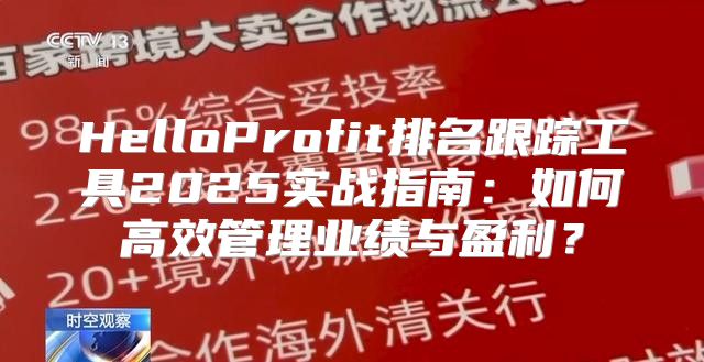 HelloProfit排名跟踪工具2025实战指南：如何高效管理业绩与盈利？