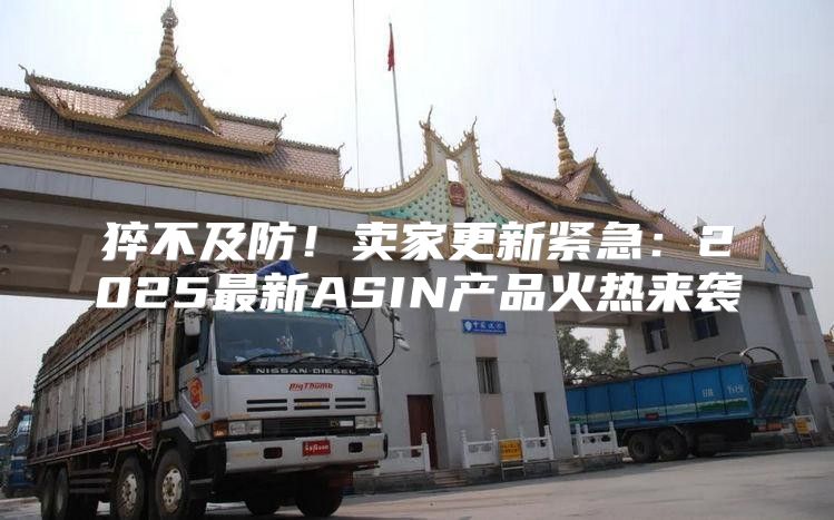 猝不及防！卖家更新紧急：2025最新ASIN产品火热来袭
