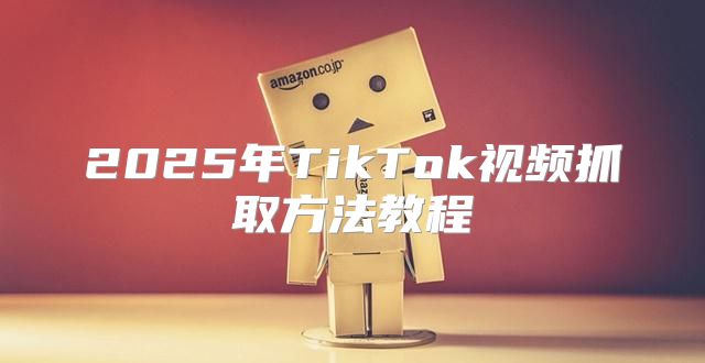 2025年TikTok视频抓取方法教程