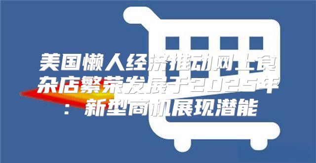 美国懒人经济推动网上食杂店繁荣发展于2025年：新型商机展现潜能
