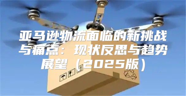 亚马逊物流面临的新挑战与痛点：现状反思与趋势展望2025版