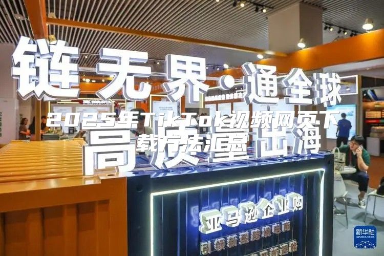 2025年TikTok视频网页下载方法汇总
