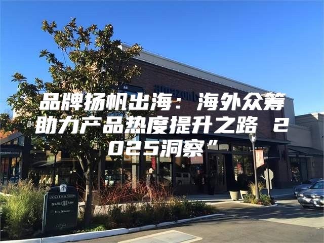品牌扬帆出海：海外众筹助力产品热度提升之路 2025洞察”
