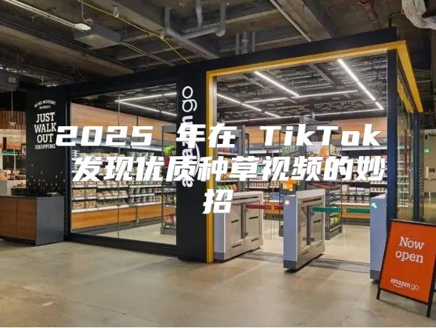 2025 年在 TikTok 发现优质种草视频的妙招