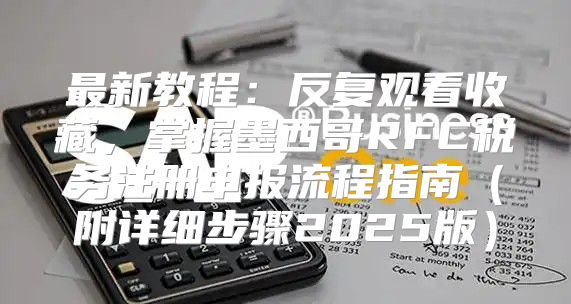 最新教程：反复观看收藏，掌握墨西哥RFC税务注册申报流程指南附详细步骤2025版