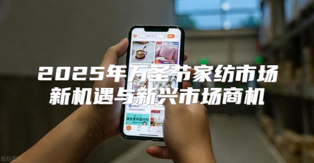 2025年万圣节家纺市场新机遇与新兴市场商机
