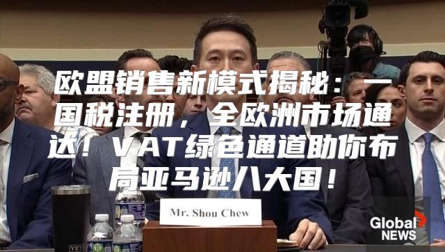 欧盟销售新模式揭秘：一国税注册，全欧洲市场通达！VAT绿色通道助你布局亚马逊八大国！