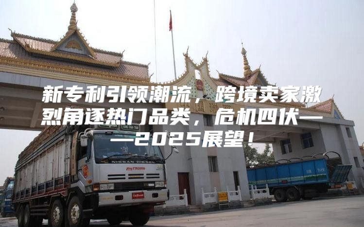 新专利引领潮流，跨境卖家激烈角逐热门品类，危机四伏——2025展望！