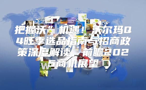 把握沃”机遇！沃尔玛Q4旺季选品指南与招商政策深度解读，前瞻2025商机展望