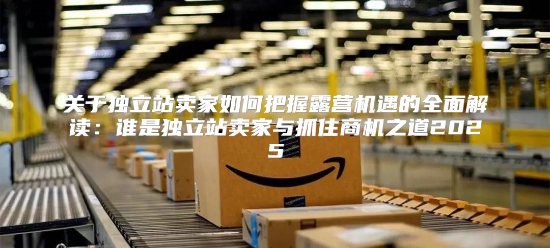 关于独立站卖家如何把握露营机遇的全面解读：谁是独立站卖家与抓住商机之道2025