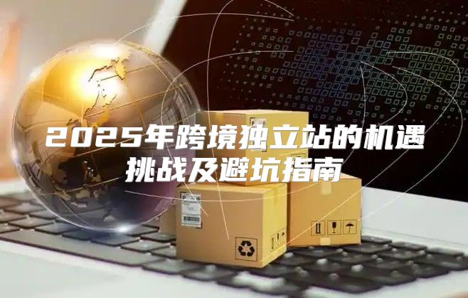 2025年跨境独立站的机遇挑战及避坑指南