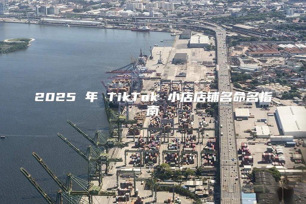 2025 年 TikTok 小店店铺名命名指南