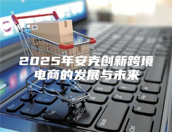 2025年安克创新跨境电商的发展与未来