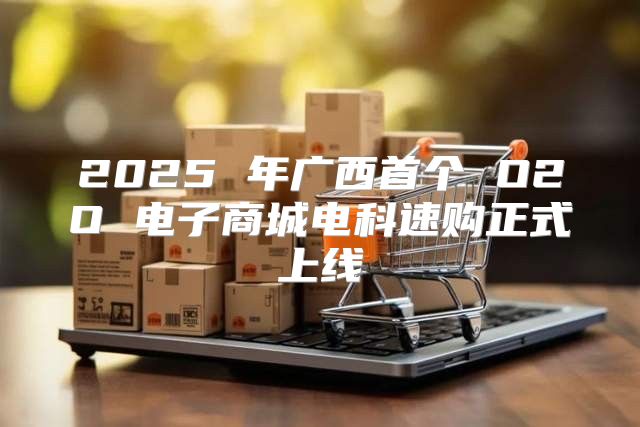 2025 年广西首个 O2O 电子商城电科速购正式上线