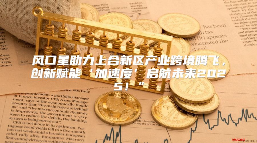 风口星助力上合新区产业跨境腾飞，创新赋能‘加速度’启航未来2025！”