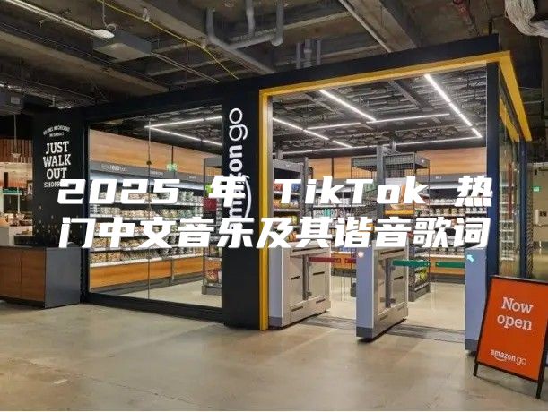 2025 年 TikTok 热门中文音乐及其谐音歌词