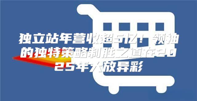 独立站年营收超5亿！领袖的独特策略制胜之道在2025年大放异彩