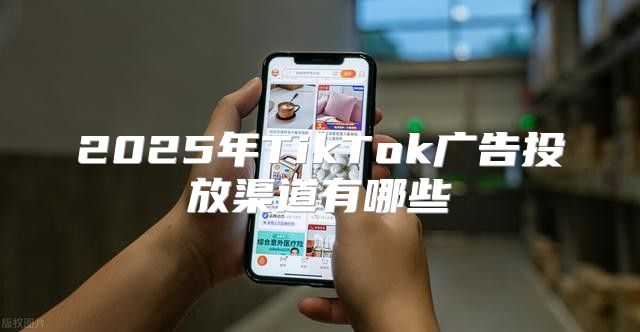 2025年TikTok广告投放渠道有哪些