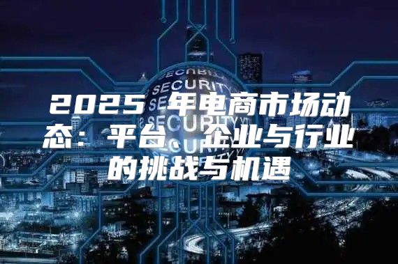 2025 年电商市场动态：平台、企业与行业的挑战与机遇