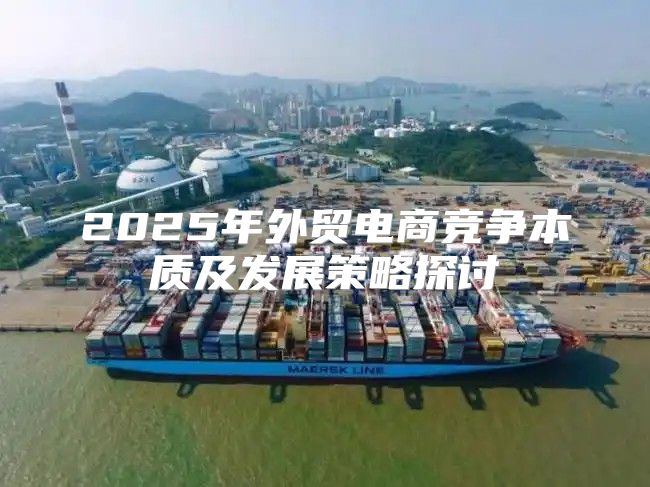 2025年外贸电商竞争本质及发展策略探讨