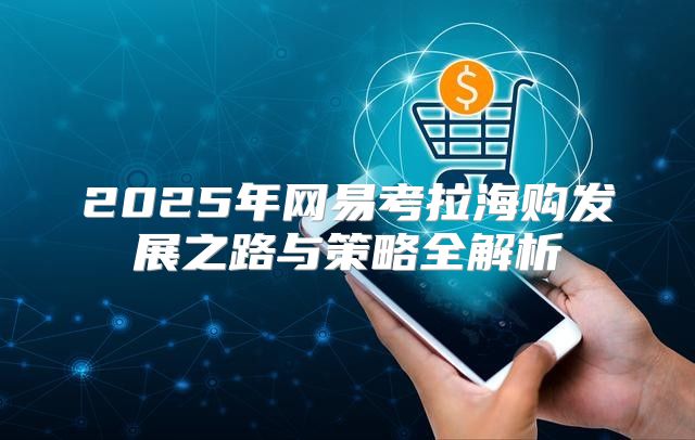 2025年网易考拉海购发展之路与策略全解析