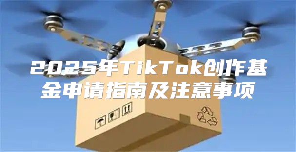 2025年TikTok创作基金申请指南及注意事项