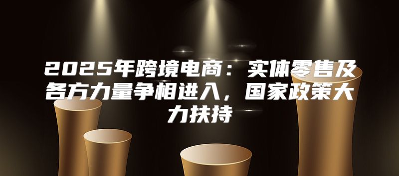 2025年跨境电商：实体零售及各方力量争相进入，国家政策大力扶持